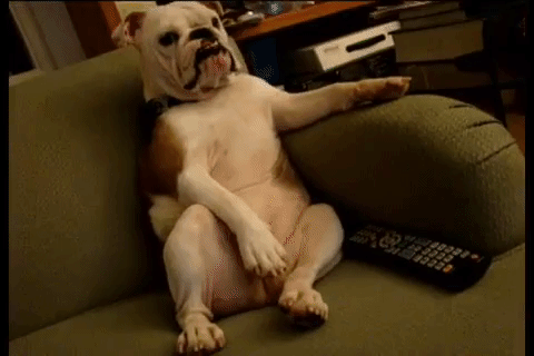 giphy3-d06b064cdb61d61cce671c075127ec13.gif giphy3-d06b064cdb61d61cce671c075127ec13.gif