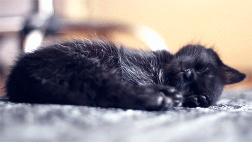 giphy60-dbeab6eaf432a8c69930d0768e505575.gif giphy60-dbeab6eaf432a8c69930d0768e505575.gif