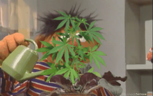 giphy61-fcf033e9975b86aea3891fba358445a2.gif giphy61-fcf033e9975b86aea3891fba358445a2.gif