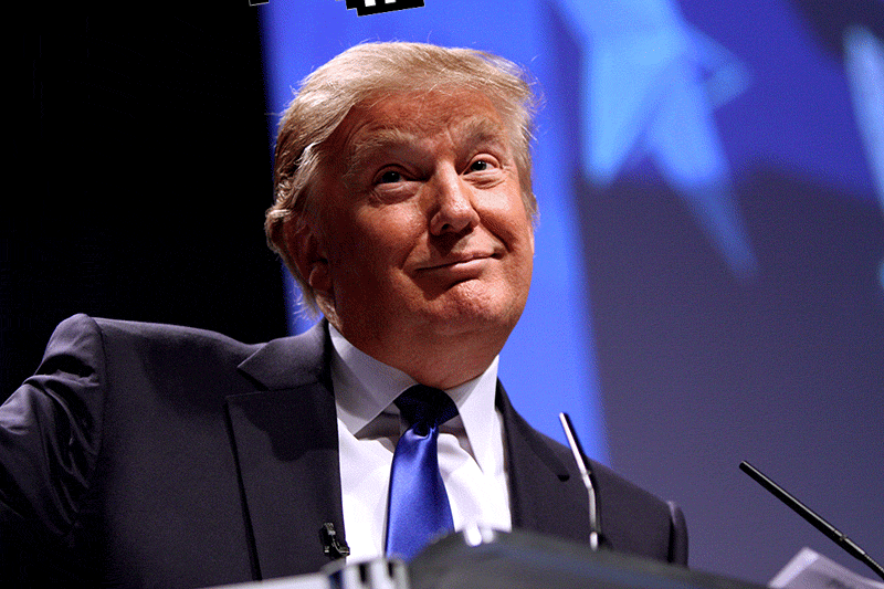 giphydonald-f31570cb1e96b3f382dfced50fcc28a0.gif giphydonald-f31570cb1e96b3f382dfced50fcc28a0.gif