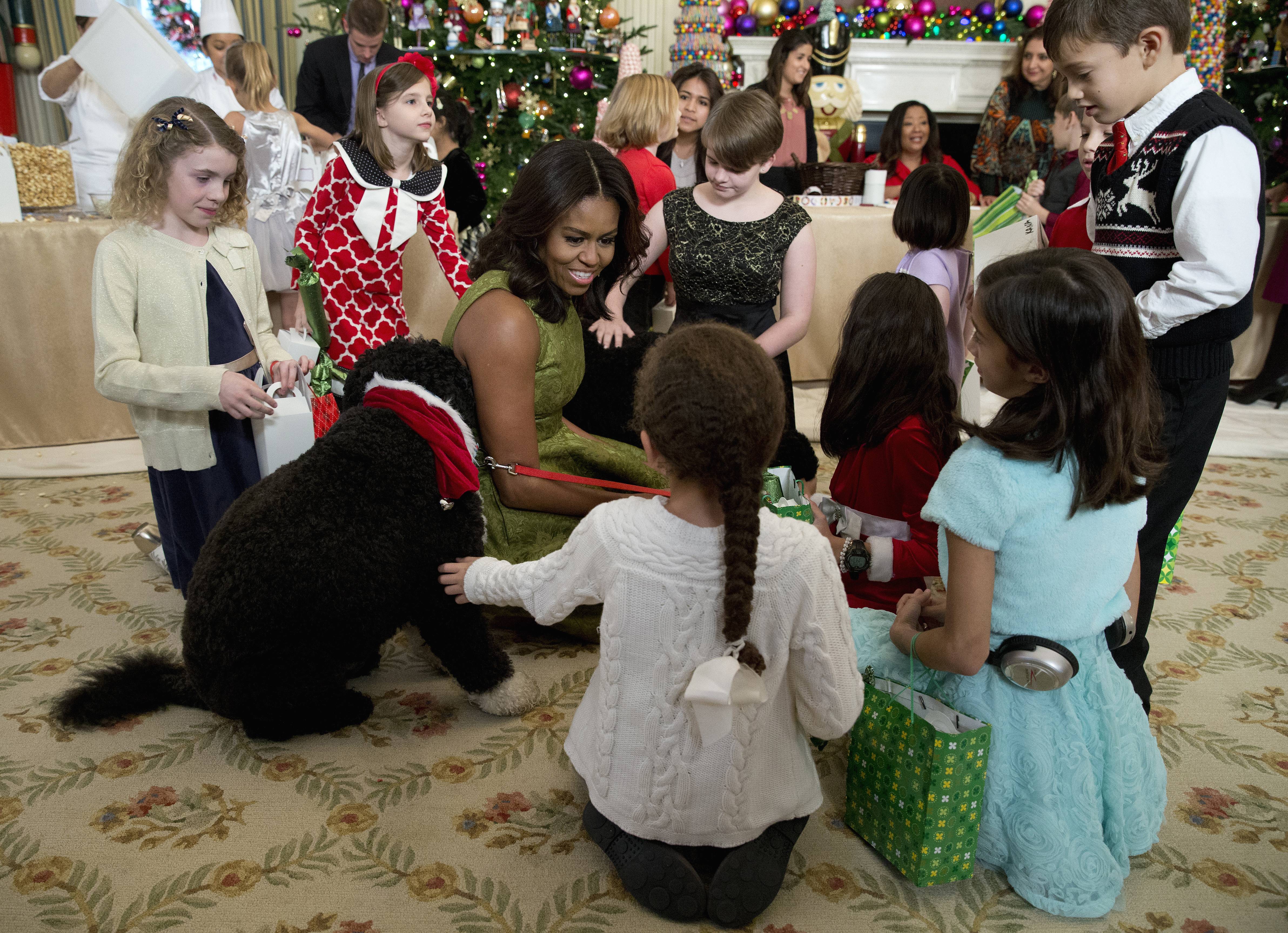 obamasdogsboandspuer2-70896e1c1854eb92950be07a71610726.jpg obamasdogsboandspuer2-70896e1c1854eb92950be07a71610726.jpg