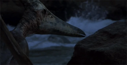 rs500x258150603124743jurassicpark3stare-445bf5637a363dc624ddbebf80bc70ab.gif rs500x258150603124743jurassicpark3stare-445bf5637a363dc624ddbebf80bc70ab.gif