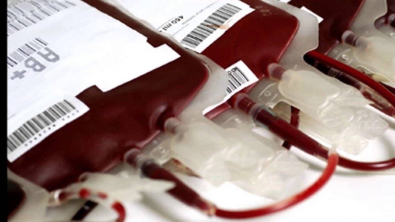 sangre1-1f3dc174d3b8fd5b24efd4c3e44bbe2c.jpg sangre1-1f3dc174d3b8fd5b24efd4c3e44bbe2c.jpg