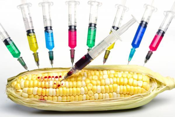 shutterstock202576327-e548c57383dc16bdbb007ea5d9dd3f0b.jpg shutterstock202576327-e548c57383dc16bdbb007ea5d9dd3f0b.jpg