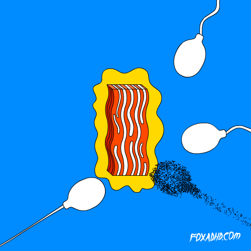 sperm-d5b3e594188d10c2aa802071d0bf77ac.gif sperm-d5b3e594188d10c2aa802071d0bf77ac.gif