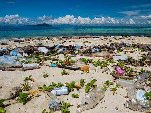 storymakertrashbeachpellethongkongworldlitter1208081515x388-44f5dab5f6f47674214a02e76caa0b71.jpg storymakertrashbeachpellethongkongworldlitter1208081515x388-44f5dab5f6f47674214a02e76caa0b71.jpg