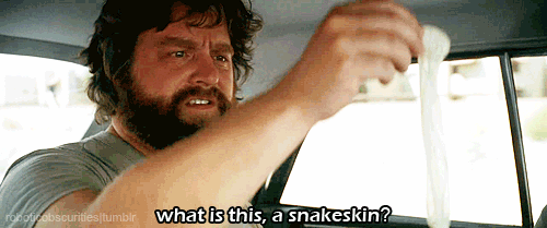 thehangovergif-a02063399ea3139d66300ec94e63550b.gif thehangovergif-a02063399ea3139d66300ec94e63550b.gif