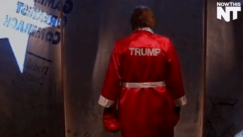 trumpbox-e08908624895a23cc2827d887a2fea21.gif trumpbox-e08908624895a23cc2827d887a2fea21.gif