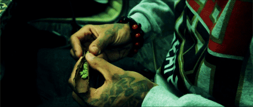 tumblrm92yk3vden1qh99g2o1500-9f9564be0ef4c46dd0bef494c4a60b6b.gif tumblrm92yk3vden1qh99g2o1500-9f9564be0ef4c46dd0bef494c4a60b6b.gif