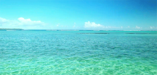 tumblrmyhyo4jbqw1sdipz0o1500-3be3e46006bc303314415b3f2cd04378.gif tumblrmyhyo4jbqw1sdipz0o1500-3be3e46006bc303314415b3f2cd04378.gif