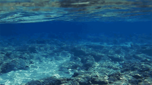 tumblrn03swjqsor1r3nnfeo1500-1d62b963227c70e09966b13d20696e86.gif tumblrn03swjqsor1r3nnfeo1500-1d62b963227c70e09966b13d20696e86.gif