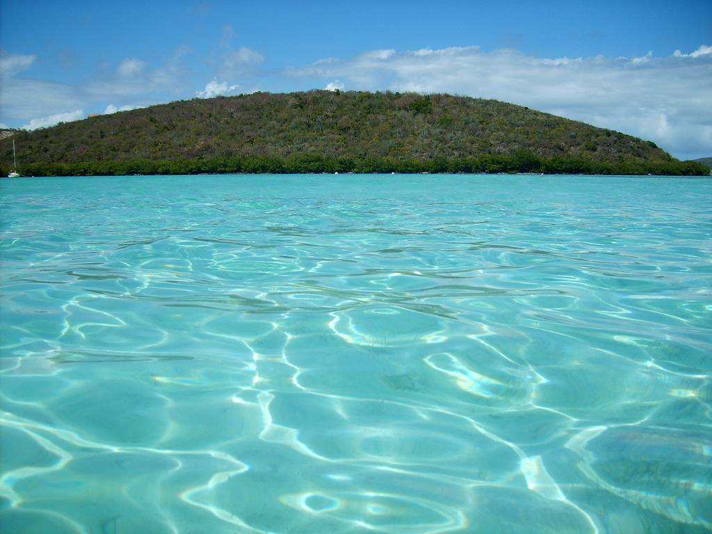 vieques-c67a284255502d0f9dde0e2896d2d318.jpg vieques-c67a284255502d0f9dde0e2896d2d318.jpg