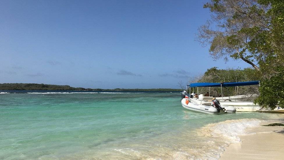 103880303morrocoy-1b8c75d9ce52ff7f201cb07cfc1320aa.jpg