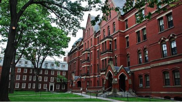 1146harvard620x350-0145e114cd9237ab14b3ff8eb94efcf3.jpg 1146harvard620x350-0145e114cd9237ab14b3ff8eb94efcf3.jpg