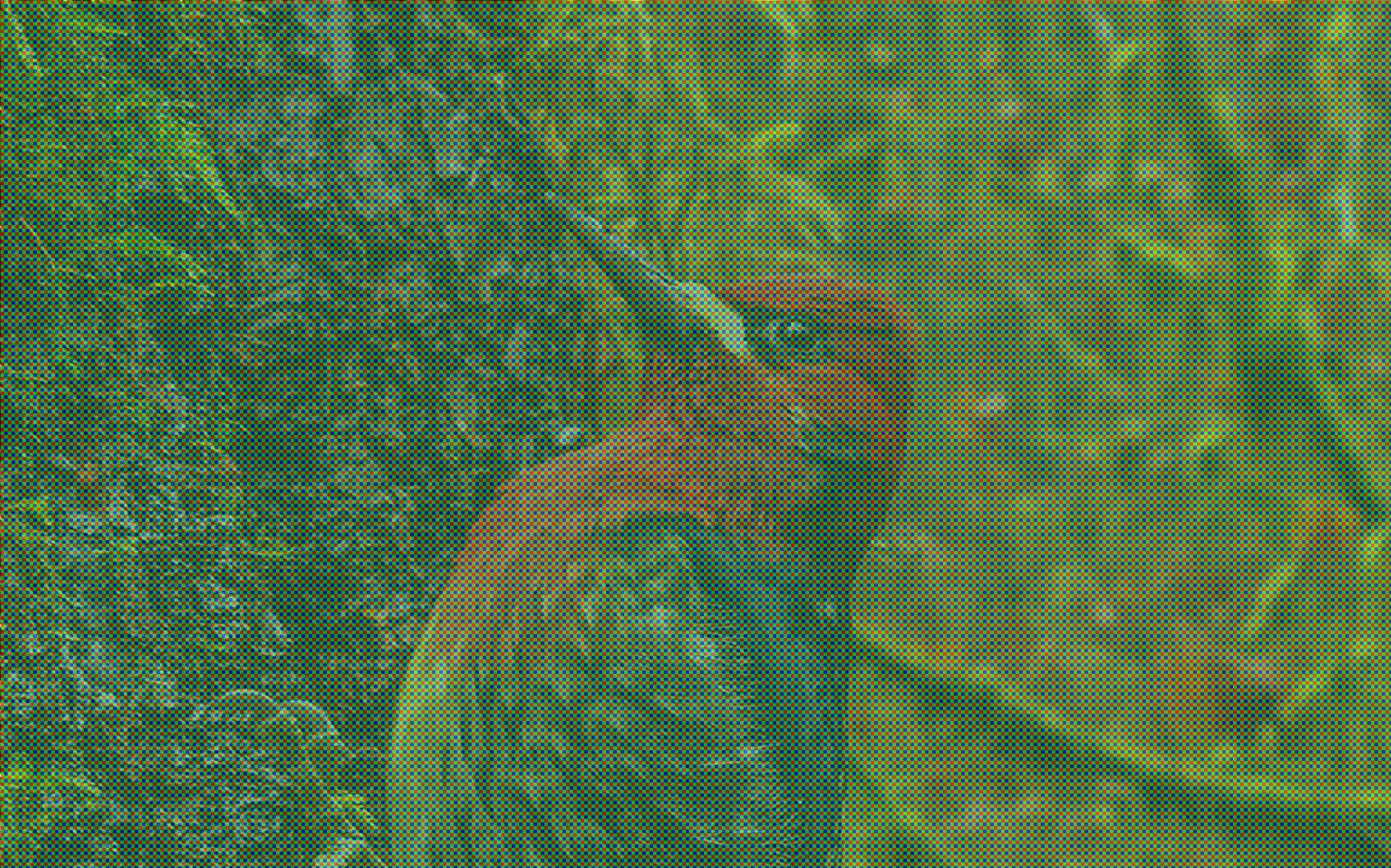 11ovsmmwwlh7k6cfszs86na-2120e087174a97622ccd8e85f17a3335.jpg 11ovsmmwwlh7k6cfszs86na-2120e087174a97622ccd8e85f17a3335.jpg