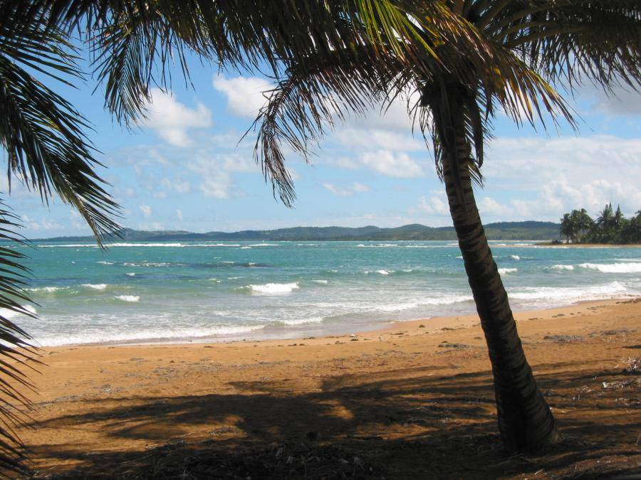 3puertoricorentals-6c00f837b53a545f3185bff914606c32.jpg 3puertoricorentals-6c00f837b53a545f3185bff914606c32.jpg