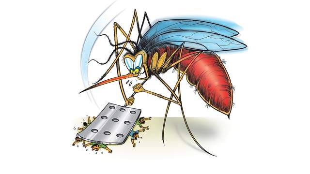 454603dengue-e5234d616f1e5dde6757ce9d15ced1a0.jpg 454603dengue-e5234d616f1e5dde6757ce9d15ced1a0.jpg