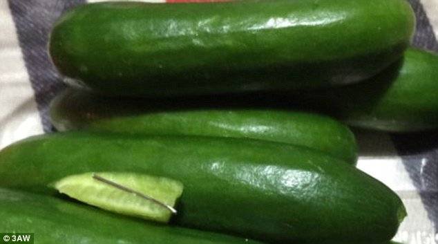 pepino