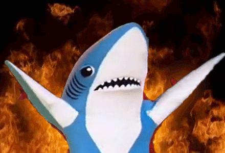 9a9-d95811d02b968476649076a470cfcf34.gif 9a9-d95811d02b968476649076a470cfcf34.gif