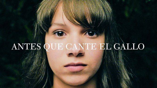 antes-6c13da3b525dce5220a4dc8824a06ad2.jpg antes-6c13da3b525dce5220a4dc8824a06ad2.jpg