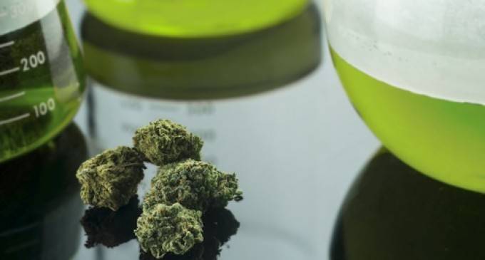 cannabismedicinal680x365c-f81caf20bdfbee388897248126f963b1.jpg cannabismedicinal680x365c-f81caf20bdfbee388897248126f963b1.jpg