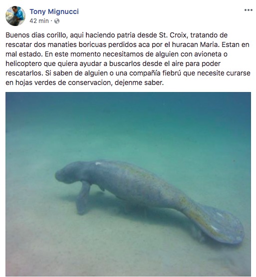 capturadepantalla20180510alas90329am-a0f26adaad3589a296573dc8a3f51504.jpg capturadepantalla20180510alas90329am-a0f26adaad3589a296573dc8a3f51504.jpg