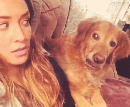 creepydoglook-388ea79090b3eb8e916c059b8bb7f2e7.gif creepydoglook-388ea79090b3eb8e916c059b8bb7f2e7.gif