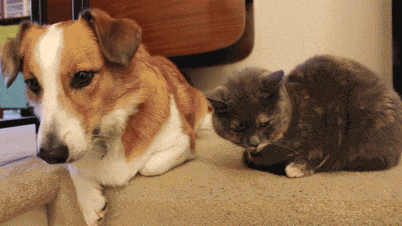 djfrydf-3eac515839bd579f492c0a34509657fb.gif djfrydf-3eac515839bd579f492c0a34509657fb.gif