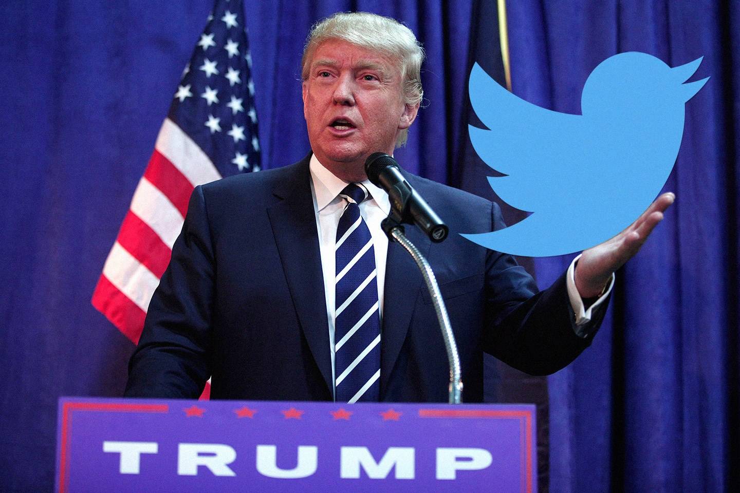 donaldtrumptwitterfollow-768ed4633067effe651aa8740e3abea9.jpg donaldtrumptwitterfollow-768ed4633067effe651aa8740e3abea9.jpg