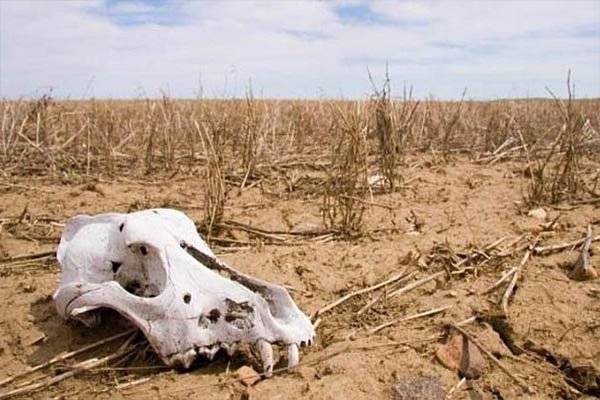 extincionhome-6a7cdee8181a1b34827894817efac96e.jpg