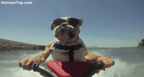 facebookgifs3-e85878cd8e72bc1db522a8d1ba50ef88.gif facebookgifs3-e85878cd8e72bc1db522a8d1ba50ef88.gif
