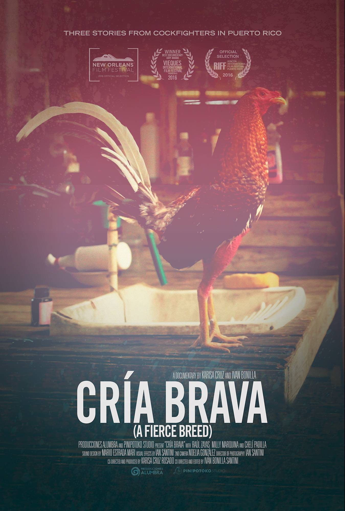 finalpostercriabrava2016-e2b9447976a2b93fd18849b40096eee1.jpg finalpostercriabrava2016-e2b9447976a2b93fd18849b40096eee1.jpg