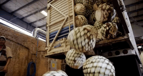 giphy1-ece49980d0dcda600fe6a9342cb67691.gif giphy1-ece49980d0dcda600fe6a9342cb67691.gif