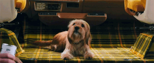 giphy10-69400051f5bb1d92129e383842f7bdf2.gif giphy10-69400051f5bb1d92129e383842f7bdf2.gif