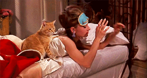 giphy11-852d288017c39f12a0f3b46c2cf34c0e.gif giphy11-852d288017c39f12a0f3b46c2cf34c0e.gif