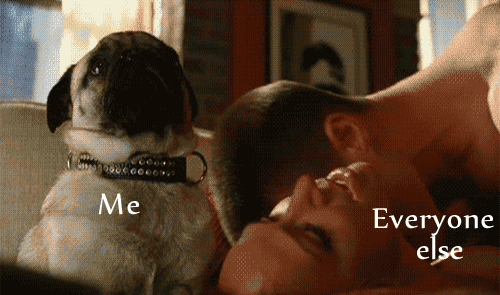 giphy113-1f25494e7ede98abfb31e5811ed3921a.gif giphy113-1f25494e7ede98abfb31e5811ed3921a.gif