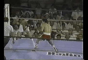 giphy116-c424410ac2aa943be9a072e88ac12a0f.gif giphy116-c424410ac2aa943be9a072e88ac12a0f.gif