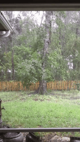 giphy12-edece395a209b876c82440bf99871905.gif giphy12-edece395a209b876c82440bf99871905.gif