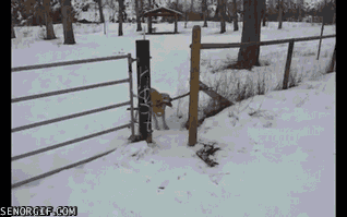 giphy13-25b671eb07cf952ffa1125a52db15928.gif giphy13-25b671eb07cf952ffa1125a52db15928.gif