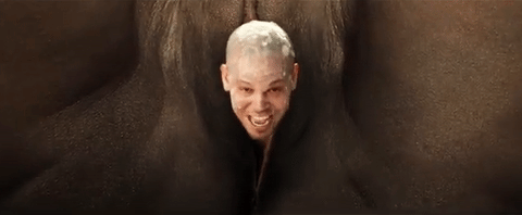 giphy133-9260556c876e7a3e249991a91302623d.gif giphy133-9260556c876e7a3e249991a91302623d.gif