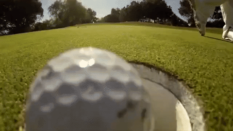 giphy14-121cdc25a5a5bce9efb435a8a21af26e.gif