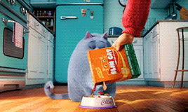 giphy141-62e3038e2d3be07982e901d21ca6993e.gif giphy141-62e3038e2d3be07982e901d21ca6993e.gif