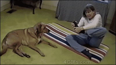 giphy19-26b6a6a1106a5c0433c1afcf8d604f34.gif giphy19-26b6a6a1106a5c0433c1afcf8d604f34.gif