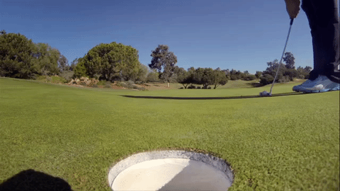 giphy211-1c818612b21a0e5cf772ff050455742b.gif