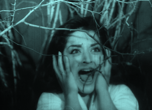 giphy23-2a45b1c6d25dea678d8ac044e0fcc1ec.gif giphy23-2a45b1c6d25dea678d8ac044e0fcc1ec.gif