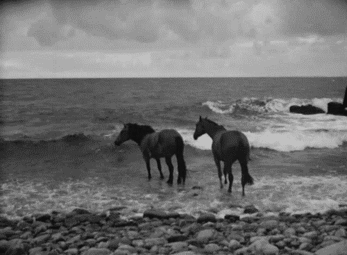 giphy27-351c286dee92af19d934ef5bd63595b6.gif giphy27-351c286dee92af19d934ef5bd63595b6.gif