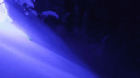 giphy27-6387a4e5d596d5678e9aefa43f6e46c7.gif giphy27-6387a4e5d596d5678e9aefa43f6e46c7.gif