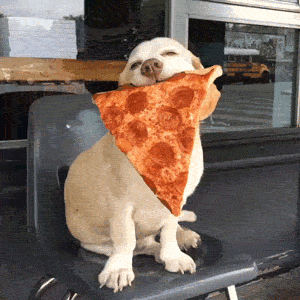 giphy281-65927c194a54e1ab3852499c5a53c04c.gif giphy281-65927c194a54e1ab3852499c5a53c04c.gif