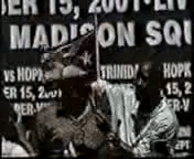giphy29-6d9e03ced16fd9beb09d4f6f05b2af72.gif giphy29-6d9e03ced16fd9beb09d4f6f05b2af72.gif