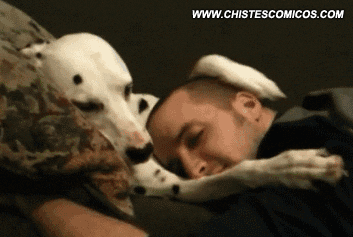 giphy291-d9df64619943355a63cf8beda91763e6.gif giphy291-d9df64619943355a63cf8beda91763e6.gif